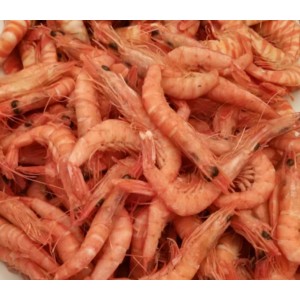 Gamba Salada